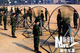 51区攻略怎么找？这几个地方能找到详细攻略！