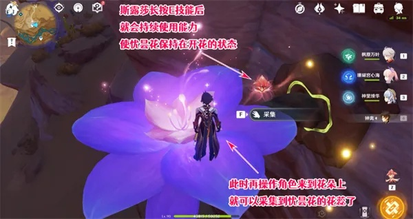 原神忧昙花藏着多少没说破的秘密？老玩家刷了30次才摸透的机制与剧情暗线