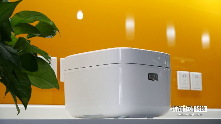 小米旗舰电饭煲4L新升级,1999元IH变压煮出新高度! 小米旗舰电饭煲4L新升级,1999元IH变压煮出新高度!