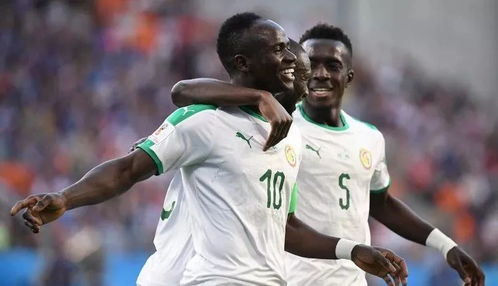 激情碰撞,英格兰 vs 塞内加尔足球赛现场直击 激情碰撞,英格兰 vs 塞内加尔足球赛现场直击