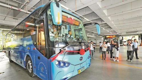 成都公交道空荡荡，网友热议：像素高显素质