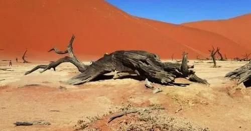 死亡谷魔鬼洞突发沙漠海啸？玩家必看的自然异象与游戏联动密码