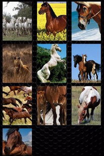 封杀逆袭！《Horses》销量狂飙，恐怖游戏新巅峰！