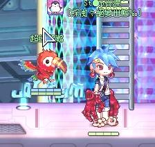 彩虹岛转职证书,彩虹岛过天空之城需要什么装备 彩虹岛转职证书,彩虹岛过天空之城需要什么装备