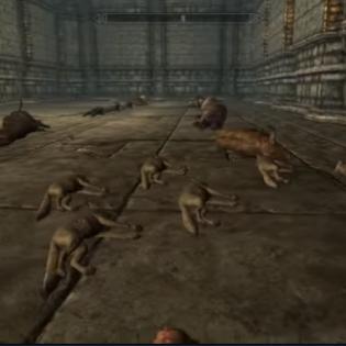 上古卷轴 5 美女 NPC 排名,领略天际省的别样风情 上古卷轴 5 美女 NPC 排名,领略天际省的别样风情