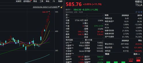 圣金虫总不够用？3条2025年最新隐藏路线+重置技巧，2小时凑齐200只