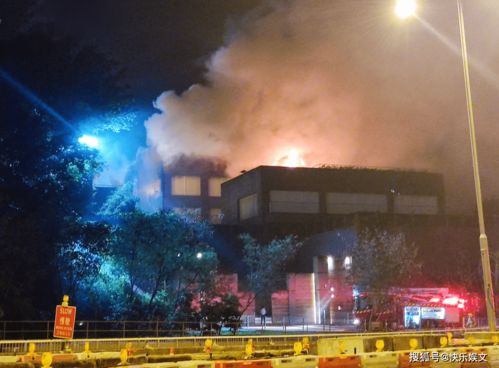 林青霞谈香港豪宅起火，从明星家园失守看游戏里的守护真相？