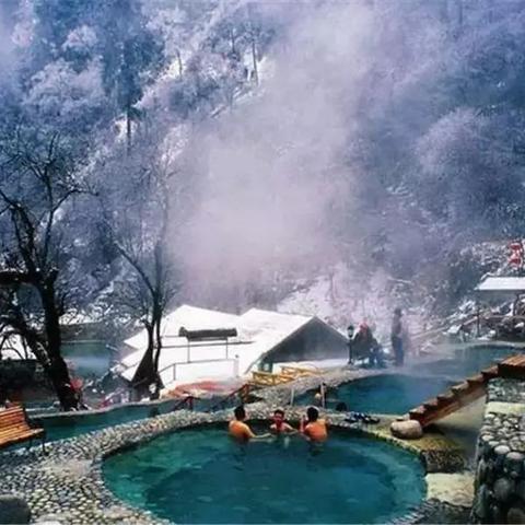 泰拉瑞亚雪原到底藏着哪些住客?老玩家都未必说全的冷知识 泰拉瑞亚雪原到底藏着哪些住客?老玩家都未必说全的冷知识