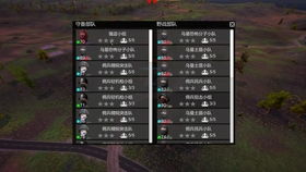 FF10视频里的隐形战斗密码，那些被90%玩家忽略的极限输出细节