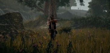 绝地求生国服公测时间，迷雾中的期待与行业影响