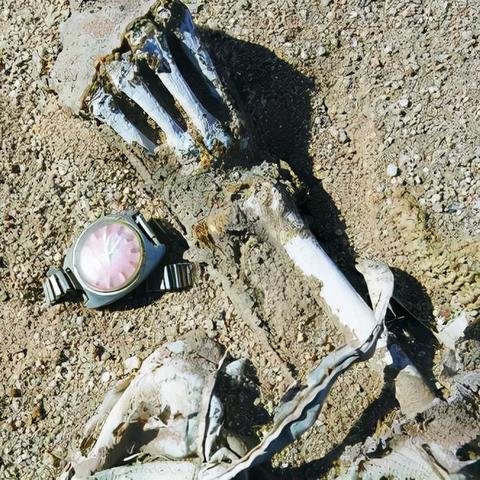 辐射4怎么开全屏？解决90%玩家踩坑的3种实战方案+隐藏设置密码