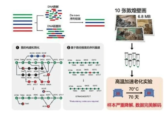 全球首破千倍存储极限,千年DNA硬盘震撼问世! 全球首破千倍存储极限,千年DNA硬盘震撼问世!