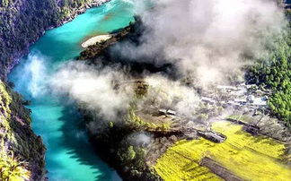 水库惊现13匹冻僵马，马主损失30万！冰面悲剧引发关注