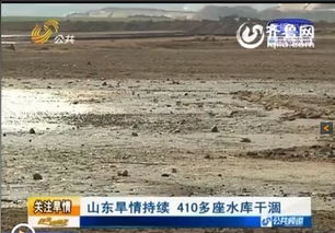 水库惊现13匹冻僵马，马主损失30万！冰面悲剧引发关注