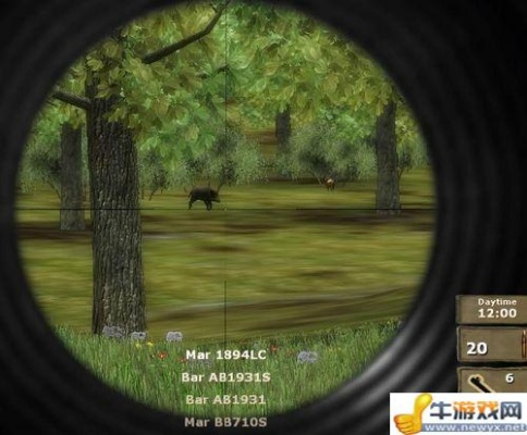 3D狩猎2010攻略：武器选择与狩猎技巧全指南