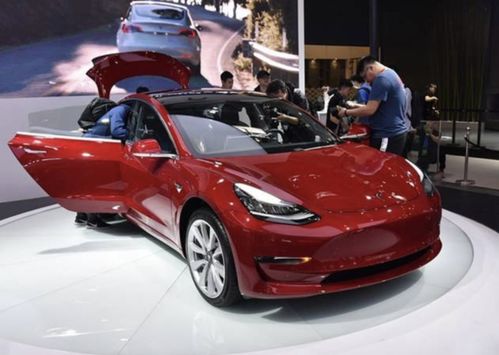 2026年2月交付,特斯拉Model 3高性能版全新交付周期揭晓 2026年2月交付,特斯拉Model 3高性能版全新交付周期揭晓