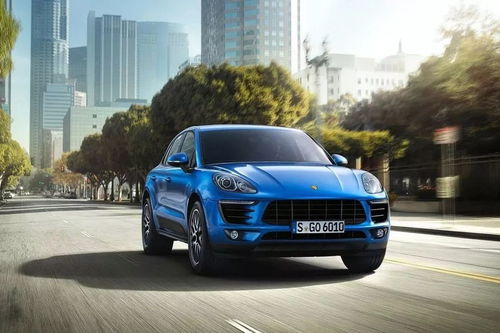 82岁保时捷掌门再婚，年轻娇妻引关注，揭秘爱情新篇章