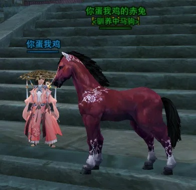 剑网三马驹，江湖中的心情羁绊