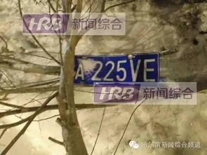撞碎暴雪还是被雪埋？撞击冬季生存党必须通关的3个破冰局