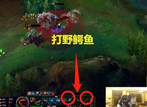 没有规则的游戏到底有多野？玩家用3年肝出的「无序生存法则」全曝光