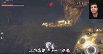 探寻类似流星蝴蝶剑的单机游戏世界