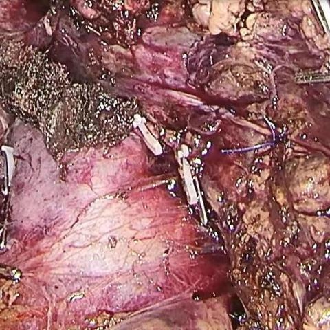 S7赛季奖励值不值得冲？隐藏福利、肝度实测与必拿道具全曝光