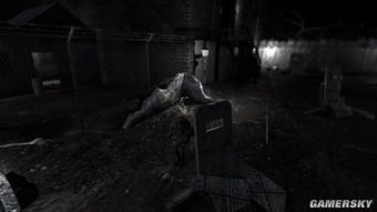 惊悚求生《Lucid Falls》：揭秘暗夜怪物对抗新篇章