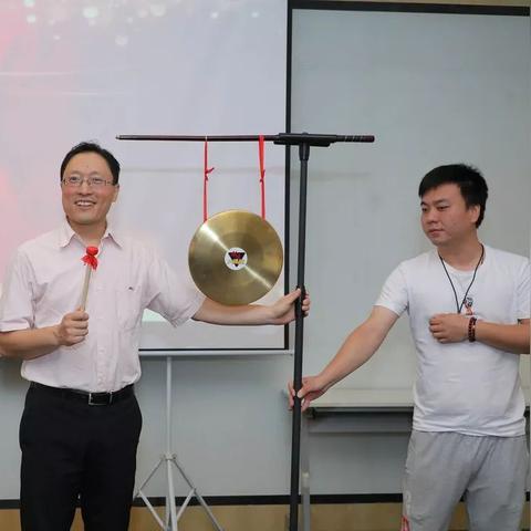 电脑惊现428文档，网友羡慕不已，揭秘高效办公新秘籍