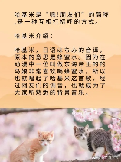 哈骥米昵称揭秘：趣味中藏深情，粉丝情谊浓如酒