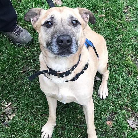 英国老人意外吞叶罚款250镑,惊曝社会新规! 英国老人意外吞叶罚款250镑,惊曝社会新规!