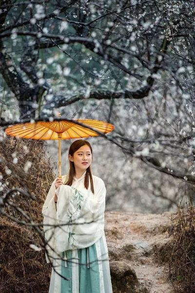 冬日梅花新装首曝：梅香袖间，衣间梅落，美不胜收