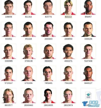 fm2010头像包用哪个好？老玩家给你详细推荐！