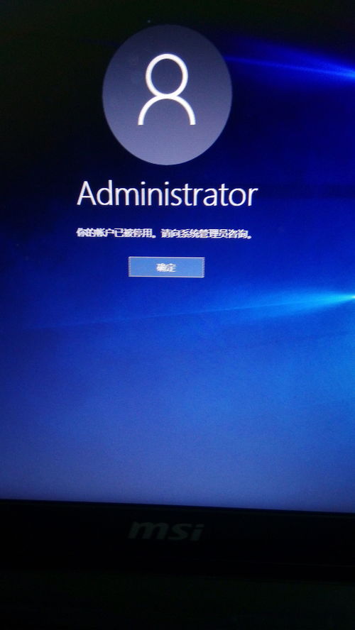 显卡新霸主50系崛起,Win10系统稳如磐石! 显卡新霸主50系崛起,Win10系统稳如磐石!