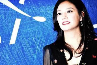 高圆圆综艺替身澄清：光替非综艺改编，揭秘真实幕后