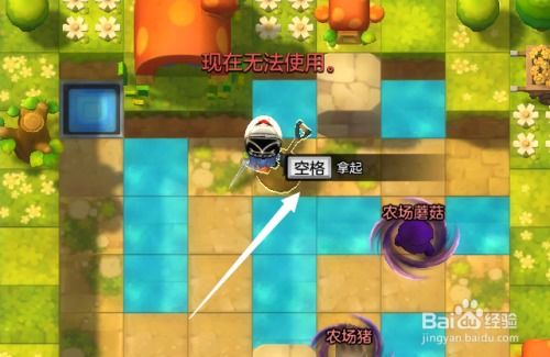 冒险岛OL游戏攻略：如何高效升级与打怪