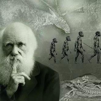 达尔文进化岛攻略,达尔文与进化论有着什么样的故事