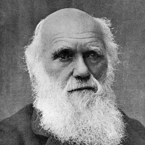 达尔文进化岛攻略,达尔文与进化论有着什么样的故事