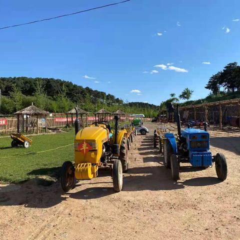 小米新车事故悲剧：园区首撞致一人离世，安全警示需重视