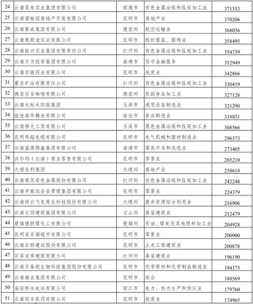 《长安二十四计》评分揭秘：破解非正常打分之谜
