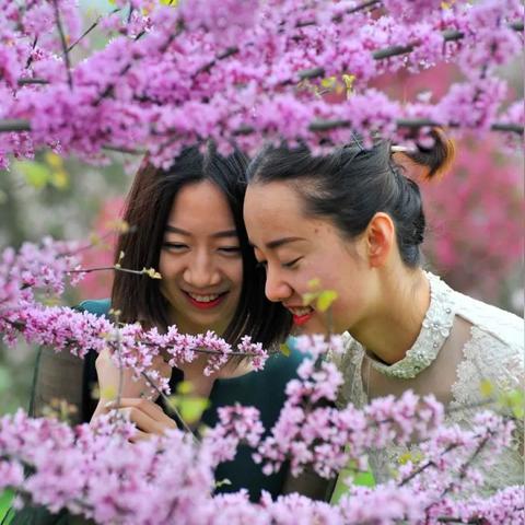 仙剑3官网到底藏着多少老玩家不知道的「原版密码」