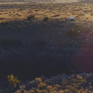 《丛林探险升级!《潜水员戴夫》DLC揭秘新价值体验》 《丛林探险升级!《潜水员戴夫》DLC揭秘新价值体验》