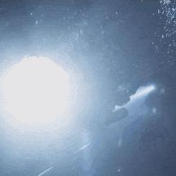 《丛林探险升级!《潜水员戴夫》DLC揭秘新价值体验》 《丛林探险升级!《潜水员戴夫》DLC揭秘新价值体验》