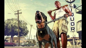 《GTA6》跳票真相曝光:玩家麻木背后新启示 《GTA6》跳票真相曝光:玩家麻木背后新启示