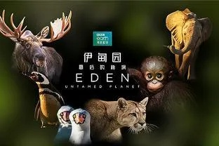 伊甸园字幕藏了多少没说的剧情？玩家深挖30小时发现的3个隐藏真相