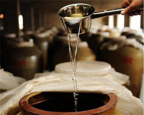 酿酒大师玩家必看，为什么你熬3晚攒的酒，不如别人1小时卖的贵？