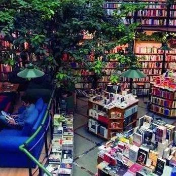 哈利波特与混血王子游戏藏了多少原著没说的秘密?老玩家才懂的细节狂欢 哈利波特与混血王子游戏藏了多少原著没说的秘密?老玩家才懂的细节狂欢