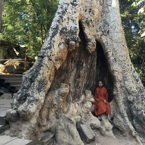 冬促狂欢!《贪婪大地》幸存者盛宴,超值折扣畅玩无忧 冬促狂欢!《贪婪大地》幸存者盛宴,超值折扣畅玩无忧