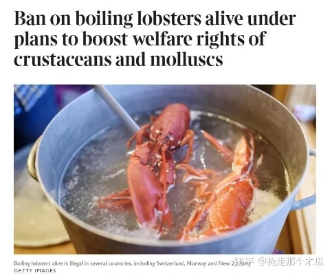英国禁煮龙虾螃蟹引行业哗然，海鲜美食文化面临挑战