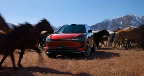 BBA降价激战，问界M8销量飙升成黑马新贵