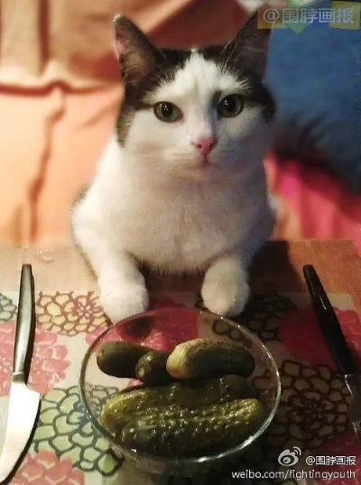 纵欲过度新解：咪咪膨胀囧图揭秘秘籍